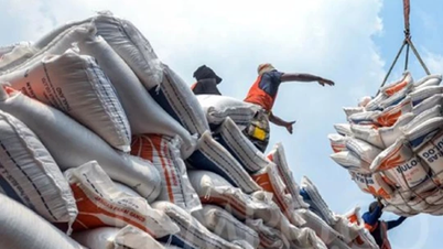 Promote rice exports to China