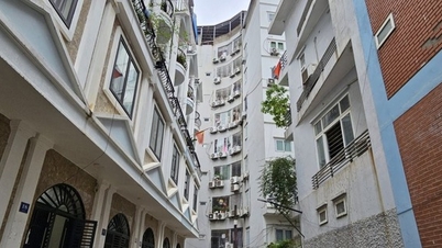 Building houses for rent/purchase of 20 apartments or more must have an investment project.