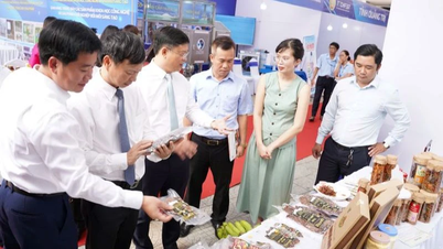 Hoàn thiện hành lang pháp lý cho đổi mới sáng tạo và khởi nghiệp sáng tạo