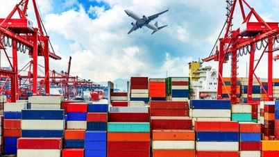 Điểm danh những thị trường nhập khẩu lớn nhất của Việt Nam