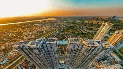 Tập đoàn Xây dựng Hòa Bình tái cấu trúc toàn diện