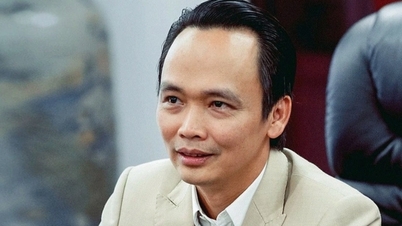 អតីតប្រធាន FLC លោក Trinh Van Quyet "បានងាក" បានស្តីបន្ទោសប្អូនស្រីរបស់គាត់។
