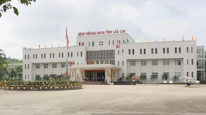 អ្នកជំងឺម្នាក់បានឆ្លងមេរោគ "បាក់តេរីស៊ីសាច់" បន្ទាប់ពីទឹកជំនន់នៅ Lao Cai