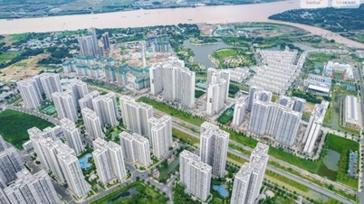 Why choose SaleReal as your real estate brokerage partner?