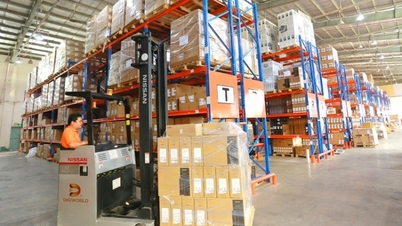 Profit in the first 6 months of the year decreased by 53%, Digiworld (DGW) still paid dividends at a rate of 10%
