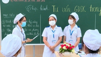 Thay đổi trong xét tuyển nhóm ngành Y Dược, Sư phạm