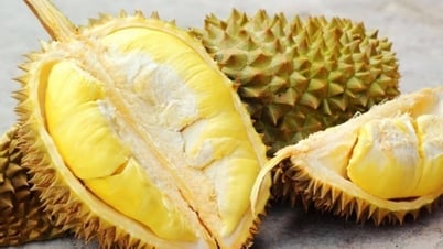 Fruit and vegetable exports could earn 6 billion USD in 2023