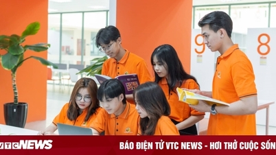 Hãy cùng khám phá những việc làm phù hợp với tính cách