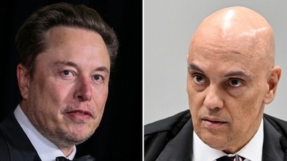 Brazil tịch thu tiền của tỉ phú Elon Musk để nộp phạt