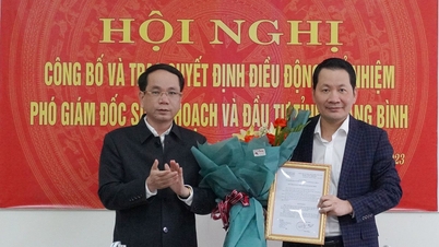 Bổ nhiệm Phó Giám đốc Sở Xây dựng và Sở Kế hoạch và Đầu tư