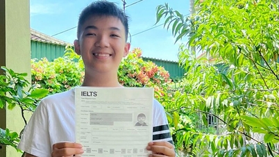 Học sinh lớp 9 đạt 8.5 IELTS trong lần thi đầu tiên