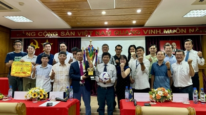 12 đội tham dự Giải Press Cup 2024 khu vực phía Nam