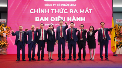 MISA chính thức bổ nhiệm 3 vị trí lãnh đạo cấp cao