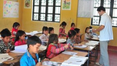 នៅឆ្នាំ 2030 គ្រូបង្រៀនភាសាជនជាតិភាគតិច 100% នឹងត្រូវបានបណ្តុះបណ្តាលជាមួយនឹងគុណវុឌ្ឍិស្តង់ដារ។
