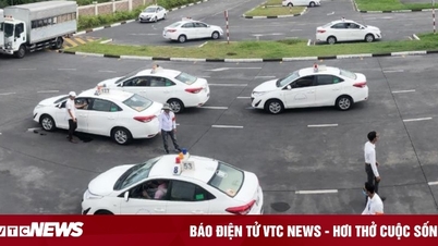 Hai trung tâm đào tạo lái xe Hà Nội đình chỉ tuyển sinh 3 tháng