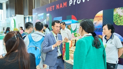 វេទិកាសេដ្ឋកិច្ចបៃតង និងពិព័រណ៍