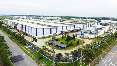 Thị trường đất nền đón sóng phục hồi những tháng cuối năm