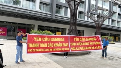 Nhiều khách hàng của Celadon City đã tiến hành khởi kiện chủ đầu tư Gamuda Land