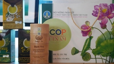 Sản phẩm OCOP – Chuyển đổi tư duy sản xuất nông nghiệp theo hướng ‘xanh’