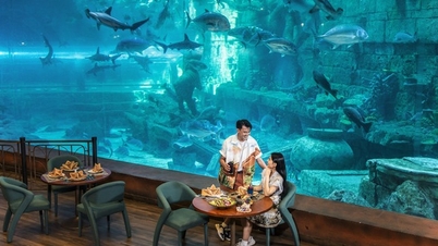 អ្វី​ដែល​ធ្វើ​ឱ្យ Phu Quoc កាន់តែ​ទាក់ទាញ​ភ្ញៀវ​ទេសចរ​អន្តរជាតិ?