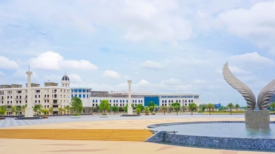 Đồng Nai giao đất ở đảo Phượng Hoàng cho Novaland triển khai dự án