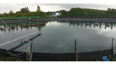 Công an tiếp nhận thông tin tố giác 2 cán bộ BQL rừng phòng hộ Kiến Vàng