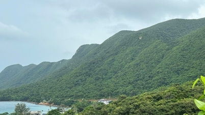 Changing the purpose of 1.92 hectares of special-use forest land to build a waste treatment plant in Con Dao