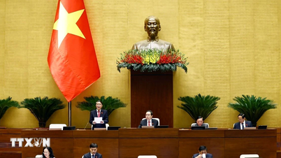 Thông cáo báo chí số 12 Kỳ họp thứ 8, Quốc hội khóa XV