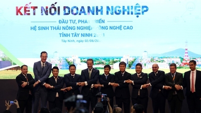 Tay Ninh ទាក់ទាញការវិនិយោគលើវិស័យកសិកម្មបច្ចេកវិទ្យាខ្ពស់។