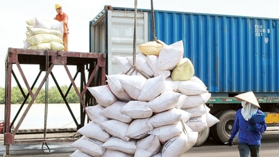 Bộ Nông nghiệp đề xuất Thủ tướng ra Chỉ thị về tăng cường xuất khẩu gạo trong tình hình mới