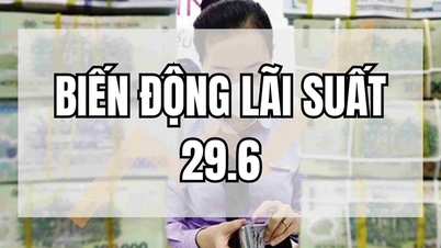 បង្ហាញពីចំណុចសំខាន់លើសពី 7% បន្ទាប់ពីការប្រណាំងការដំឡើងអត្រាការប្រាក់