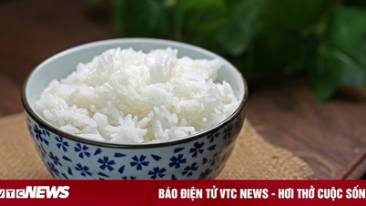 Ăn cơm trắng nhiều có béo không?