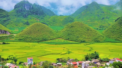 Montañas gemelas de hadas: una obra maestra natural en la tierra de Ha Giang
