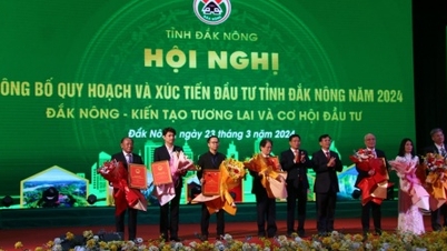 ជាង 8,4 ពាន់លាន USD និង 1,700 ពាន់លានដុងបានចុះឈ្មោះសម្រាប់ការវិនិយោគនៅខេត្ត Dak Nong
