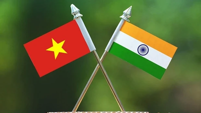 សារទិវាជាតិឥណ្ឌា