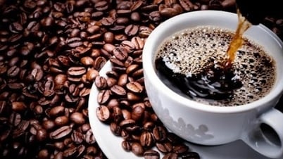 Giá cà phê giảm mạnh phiên cuối tuần; Thị phần cà phê Việt giảm dần tại thị trường Trung Quốc?