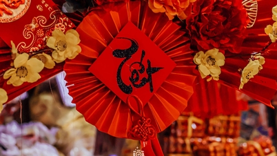 ជនជាតិវៀតណាមនៅឯបរទេសនៅប្រទេសអាល្លឺម៉ង់ត្រូវបានផ្លាស់ប្តូរដោយការតុបតែង Tet នៅលើផ្លូវ Hai Thuong Lan Ong