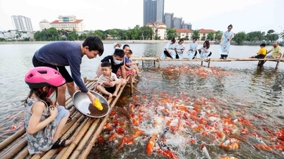 Chiêm ngưỡng hồ cá Koi rộng 3,5ha giữa lòng Hà Nội  | Báo Gia Lai điện tử
