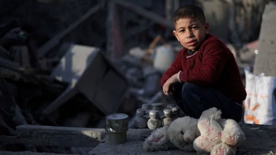 WHO lo ngại về các cuộc tấn công vào Rafah của Gaza
