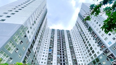 Bản tin kinh tế 5/12: Giá chung cư tăng mạnh; trái phiếu doanh nghiệp ấm dần