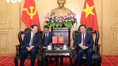 Thúc đẩy hợp tác, trao đổi chuyên gia trên lĩnh vực xây dựng đảng giữa Việt Nam và Trung Quốc