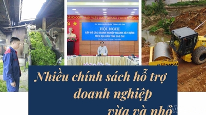 Nhiều chính sách hỗ trợ doanh nghiệp vừa và nhỏ
