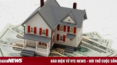 Những lưu ý quan trọng trước khi mua nhà đất