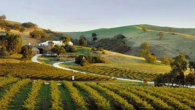 'Paradise' for wine lovers in Australia