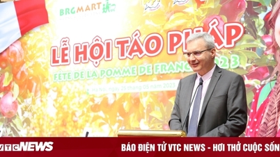 Rộn ràng mua sắm tại 'Lễ hội táo Pháp 2023'