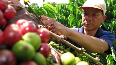 ‘Chìa khoá’ xây dựng bền vững thương hiệu