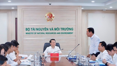 គោលនយោបាយច្បាប់ដ៏ល្អឥតខ្ចោះស្តីពីការកាត់បន្ថយការបញ្ចេញឧស្ម័នផ្ទះកញ្ចក់ និងការការពារស្រទាប់អូហ្សូន