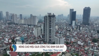 토지평가의 효율성을 향상시키다