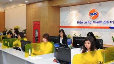Lỗ tự doanh, lợi nhuận quý III/2024 của SHS giảm đến 70%