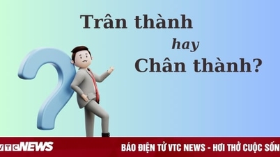 Thử thách Tiếng Việt: 'Trân thành' hay 'chân thành'?